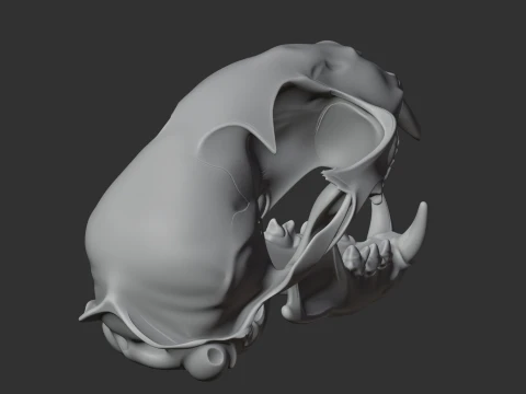 Bobcat Skull 3D Model