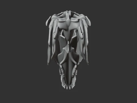 Bowfin Amia calva Skull 3D Model