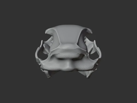 Brown Bear Skull 3D Model