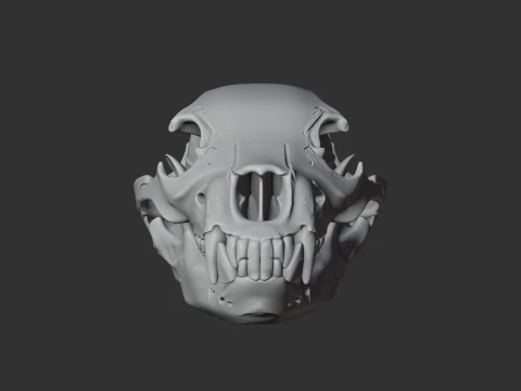 Brown Bear Skull 3D Model