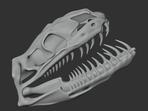 Carpet Python Skull 3D Model