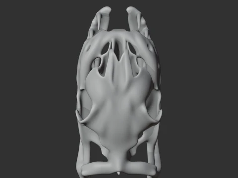 Carpet Python Skull 3D Model