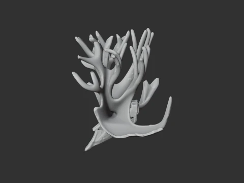 Cervalces Skull 3D Model