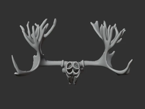 Cervalces Skull 3D Model