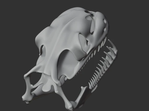 Childrens Python Skull 3D Model