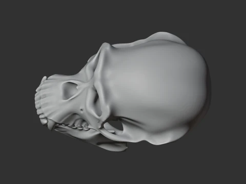 Chimpanzee Skull 3D Model