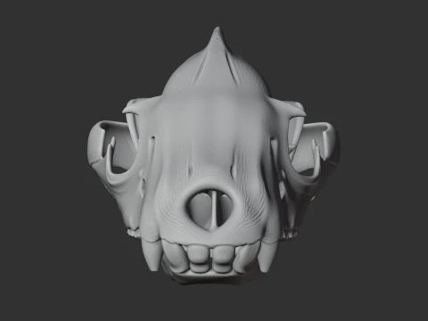Brown Hyena Skull 3D Model