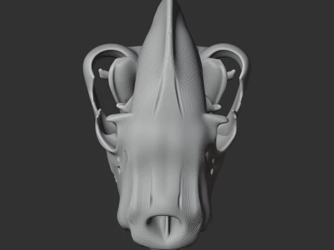 Brown Hyena Skull 3D Model
