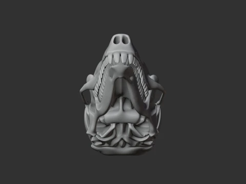 Coast Mole Skull 3D Model