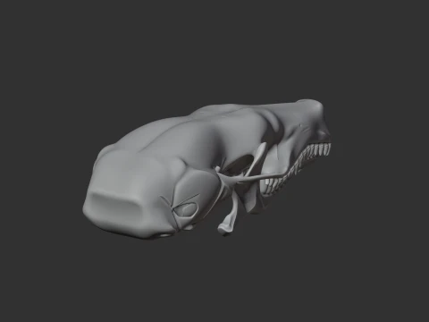 Coast Mole Skull 3D Model