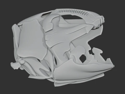 Coelacanth Skull 3D Model
