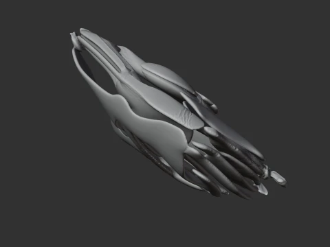 Coelacanth Skull 3D Model