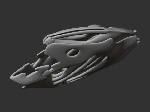 Coelacanth Skull 3D Model