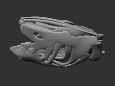 Coelacanth Skull 3D Model
