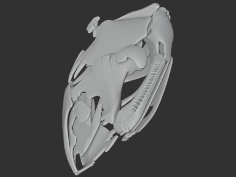Coelacanth Skull 3D Model