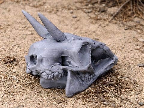 Common Duiker Skull 3D Model