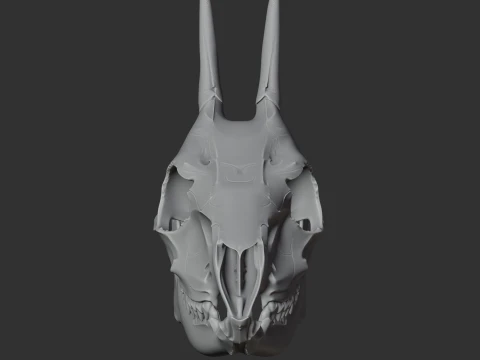 Common Duiker Skull 3D Model