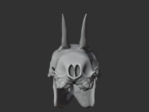 Common Duiker Skull 3D Model