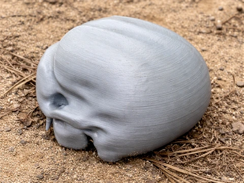 Common Marmoset Skull 3D Model