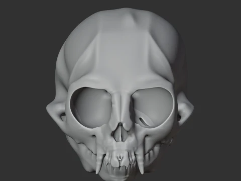 Common Marmoset Skull 3D Model