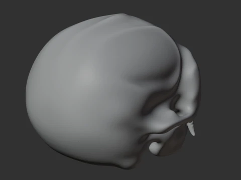 Common Marmoset Skull 3D Model