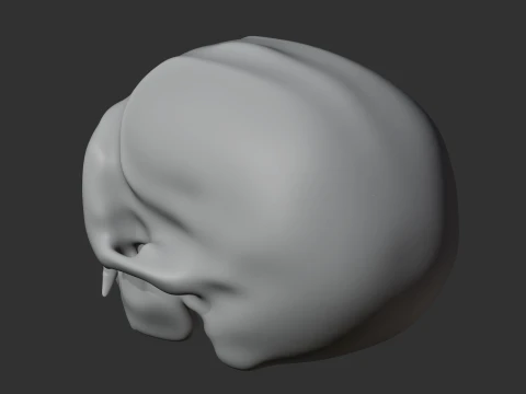 Common Marmoset Skull 3D Model