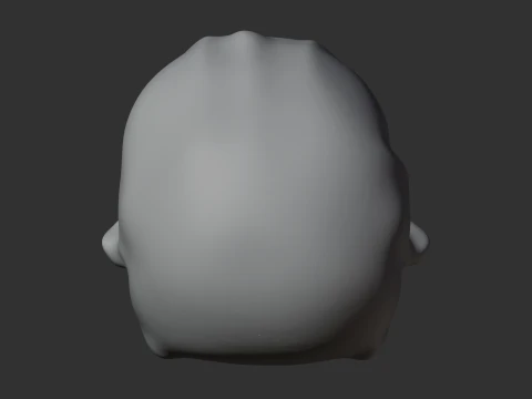 Common Marmoset Skull 3D Model