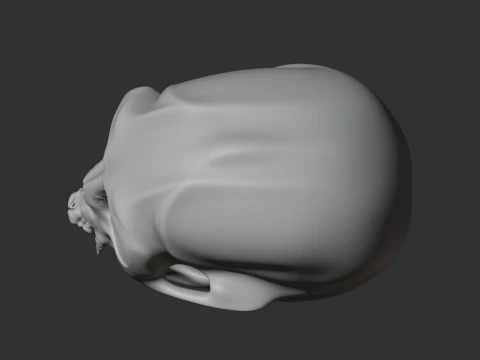Common Marmoset Skull 3D Model