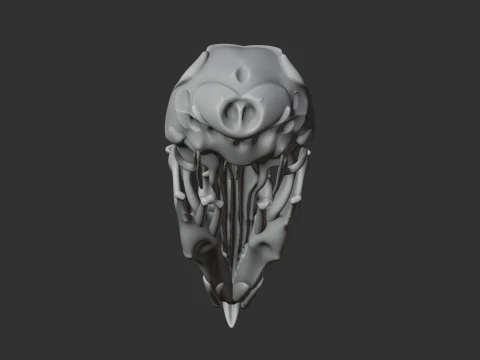 Common Shrew Skull 3D Model