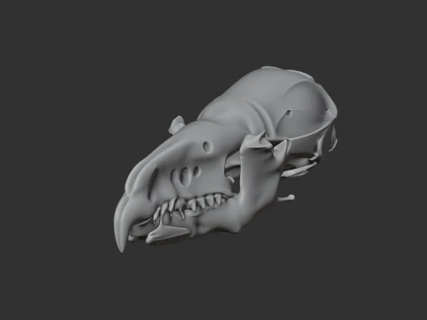 Common Shrew Skull 3D Model