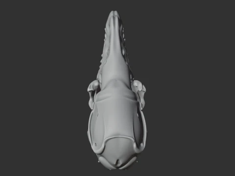 Common Shrew Skull 3D Model