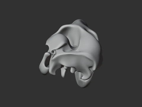 Common Wallaroo Skull 3D Model