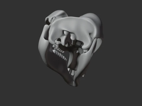 Common Wallaroo Skull 3D Model
