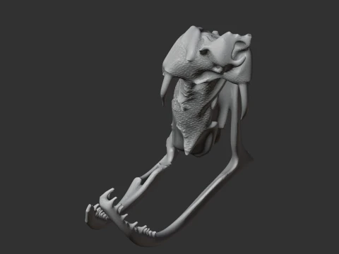 Copperhead Skull 3D Model