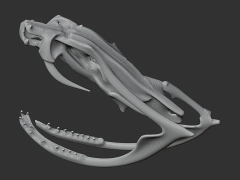Copperhead Skull 3D Model