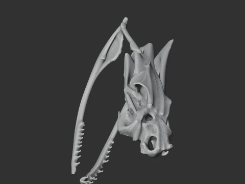 Copperhead Skull 3D Model