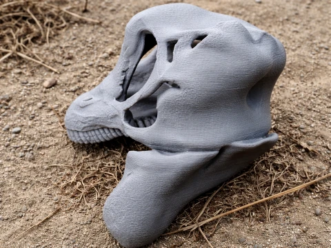 Brontosaurus Skull Modèle 3D