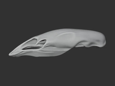 Crested Moa Skull 3D Model