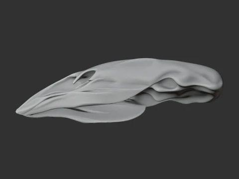 Crested Moa Skull 3D Model