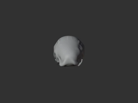 Crested Moa Skull 3D Model