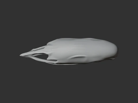 Crested Moa Skull 3D Model