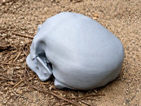 Cro-Magnon Skull 3D Модель