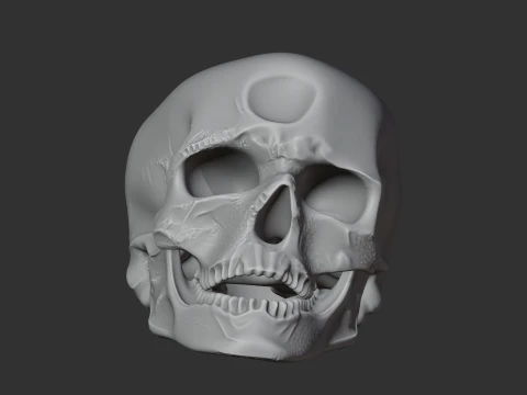 Cro-Magnon Skull 3D Model