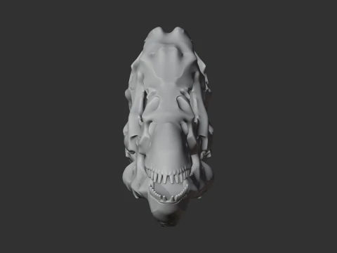 Dacentrurus Skull 3D Model