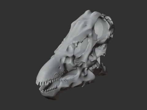Dacentrurus Skull 3D Model