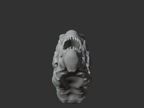 Dacentrurus Skull 3D Model