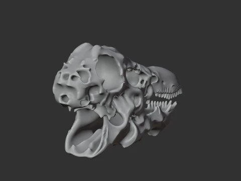 Dacentrurus Skull 3D Model