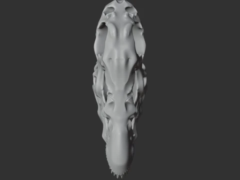 Dacentrurus Skull 3D Model