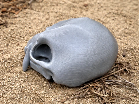 De Brazzas Monkey Skull Modelo 3D