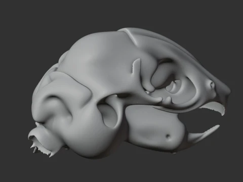 Degu Skull 3D Model